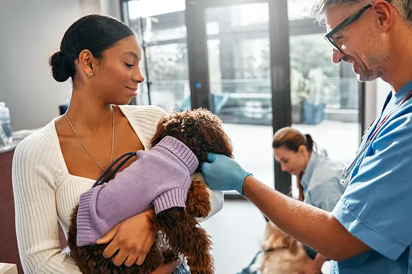 Vacunas para cachorros: lo que necesita saber